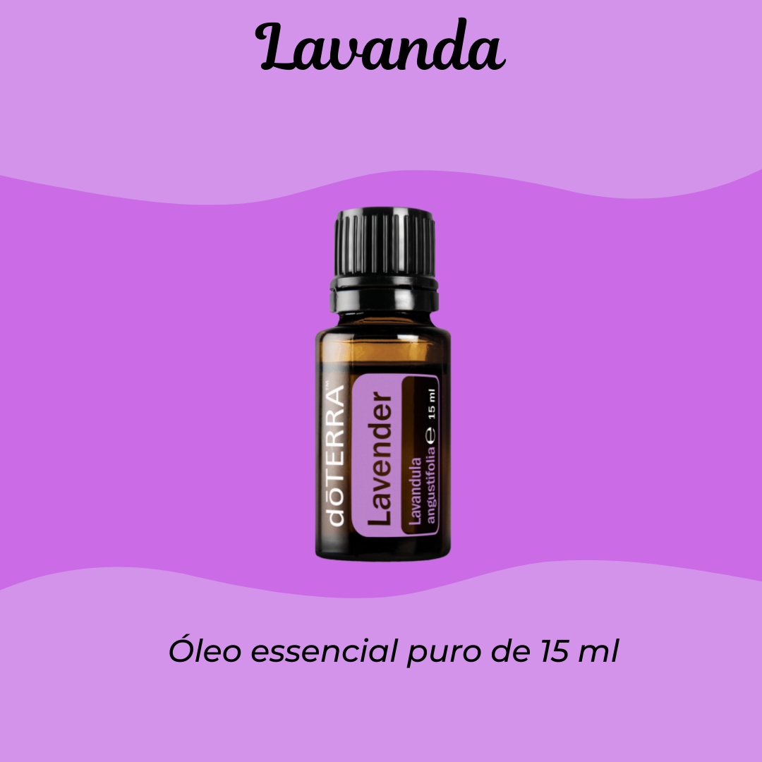 Lavanda